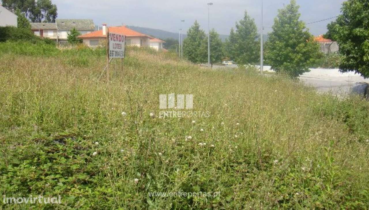 Lote - Fragoso - Grande imagem: 5/30