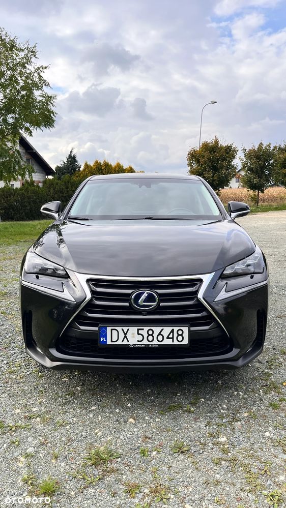 Lexus NX 300h Prestige AWD - 6