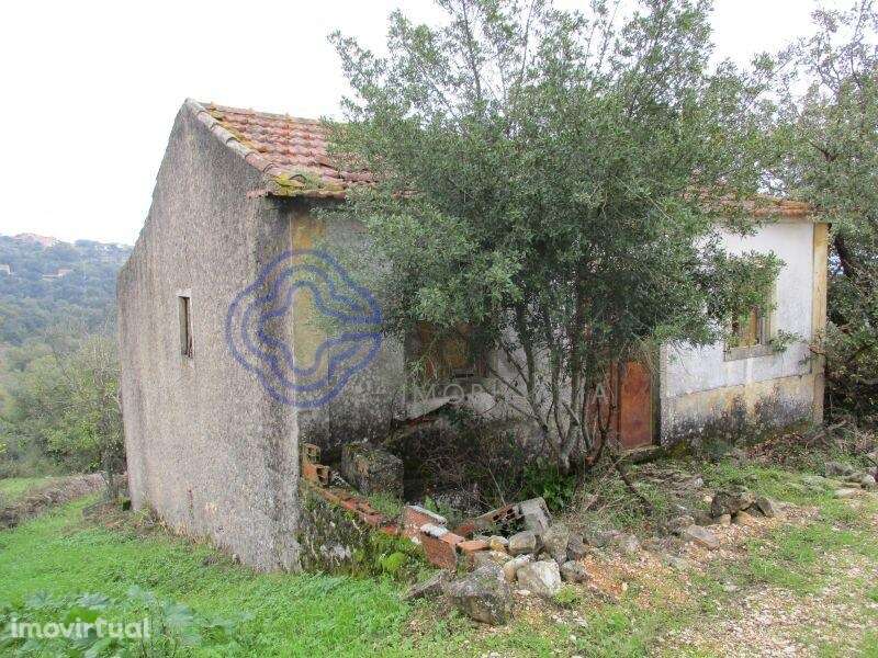 Casa de habitação em ruínas perto de Tomar no centro de Portugal - Grande imagem: 3/33