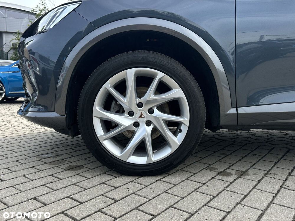 Cupra Formentor 2.0 TDI 4Drive DSG - 22