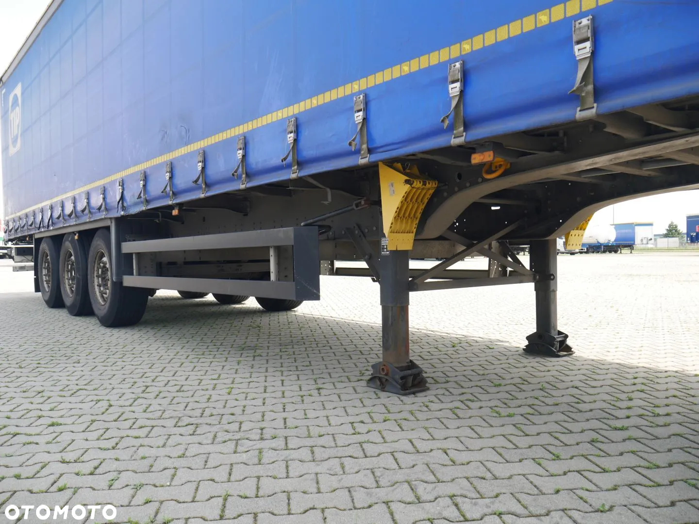 Schmitz Cargobull Firanka / Standard / TIP 564142 - 9