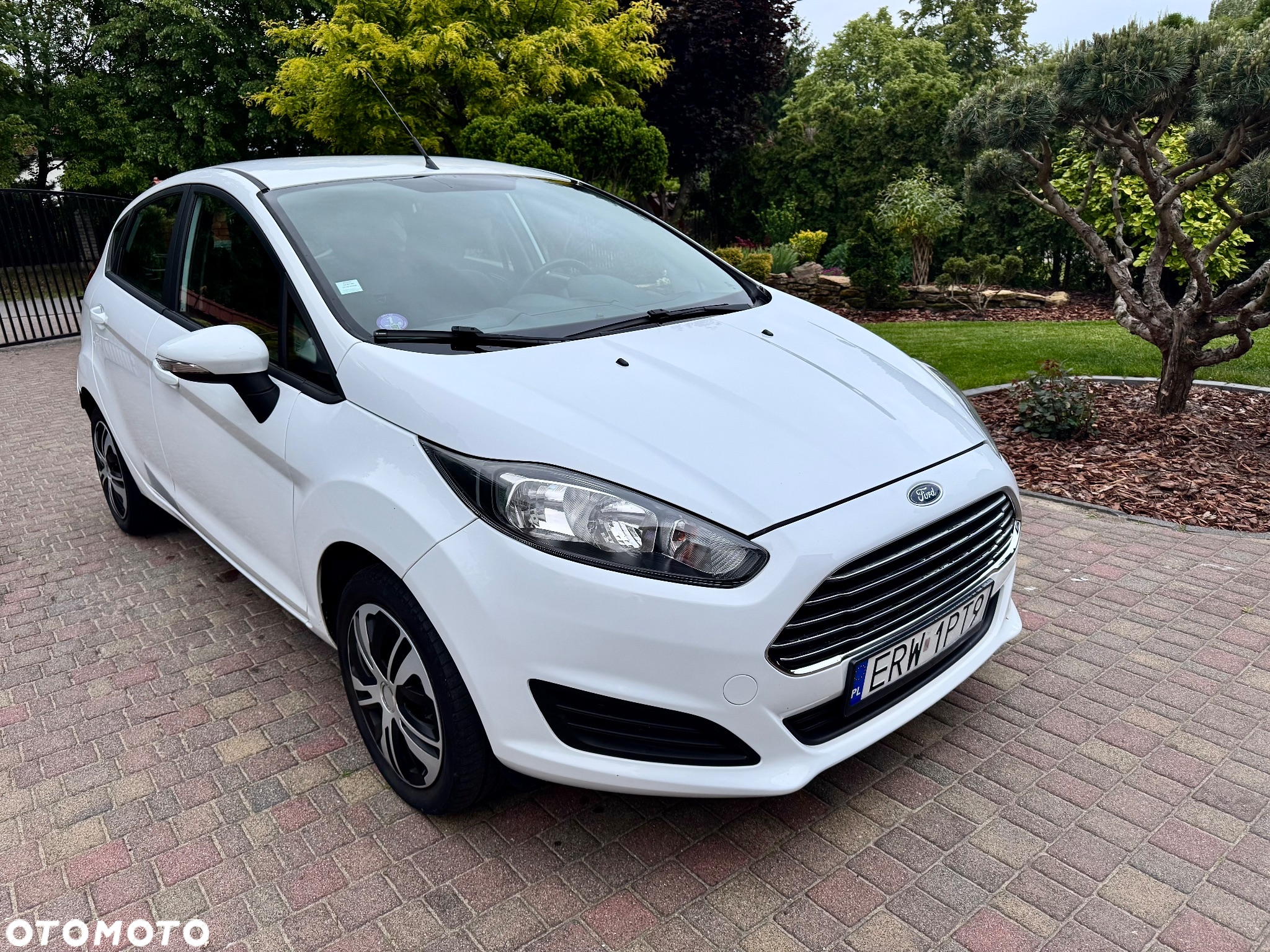 Ford Fiesta - 2