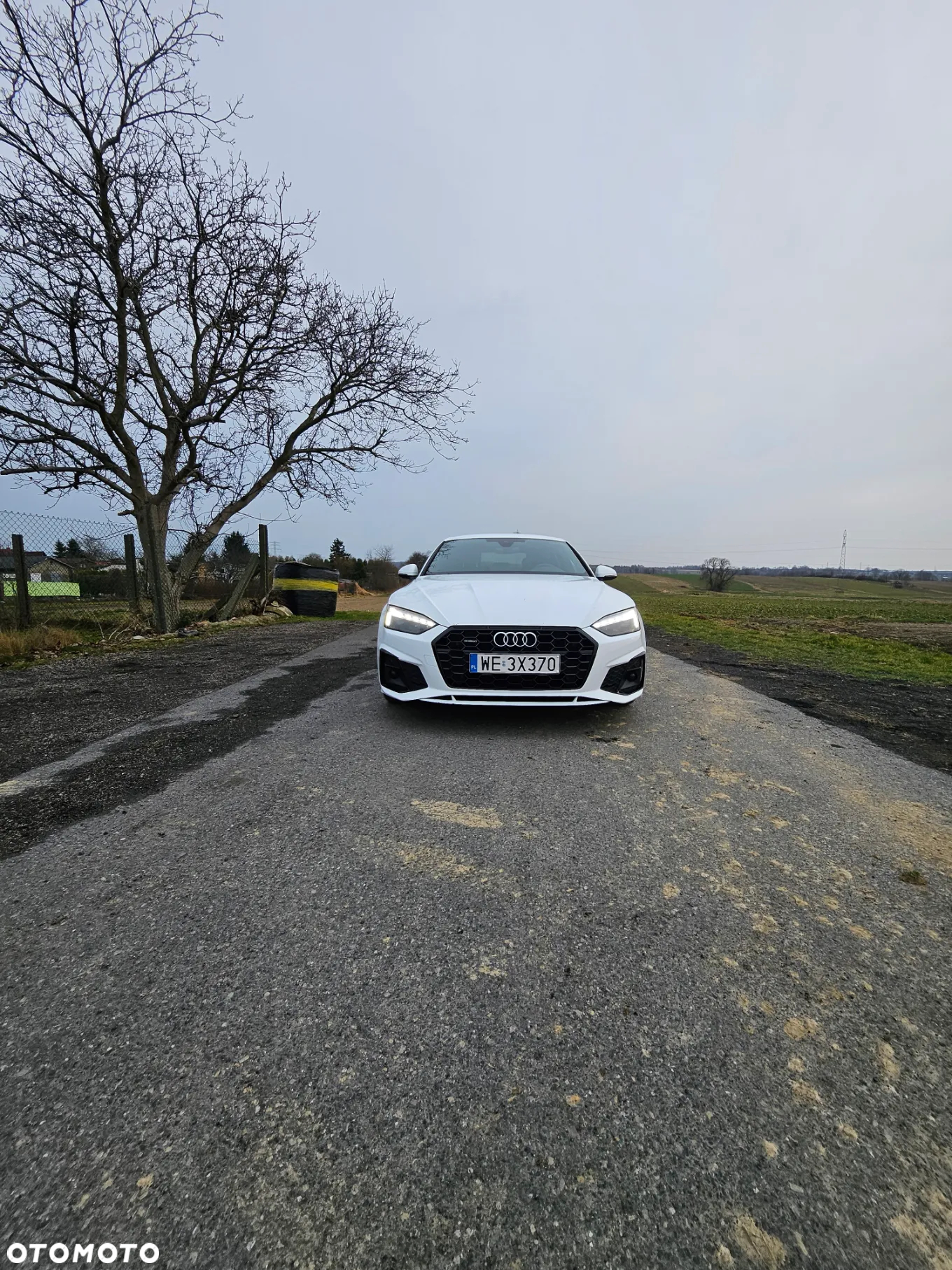 Audi A5 40 TDI Quattro S Line S tronic - 25
