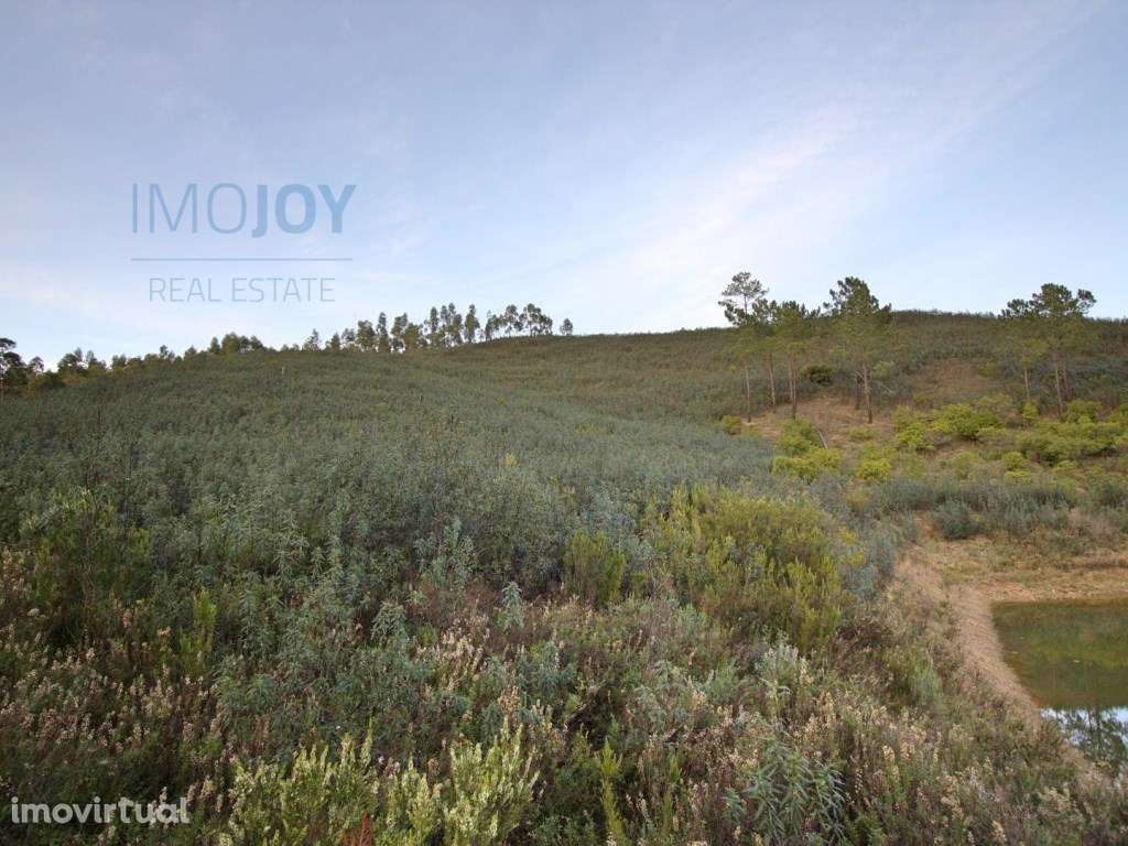 Terreno com 10 hectares e Moradia a Reabilitar em Marmelete - Grande imagem: 5/28