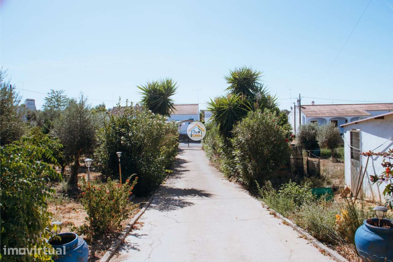 Quinta com Moradia T3 e Anexos em Redondo – Terreno de 5.000 m2 - Grande imagem: 5/52