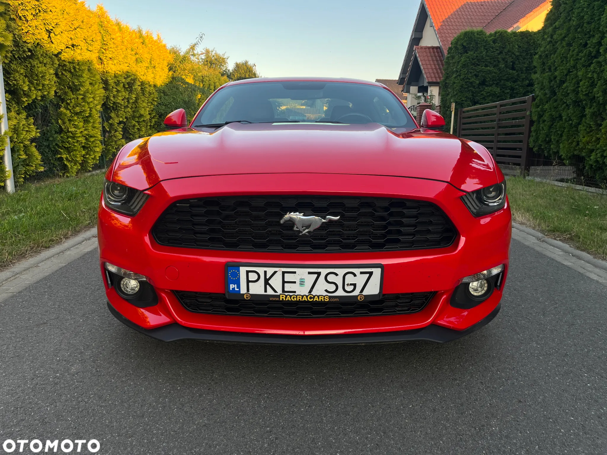 Ford Mustang 2.3 EcoBoost - 3