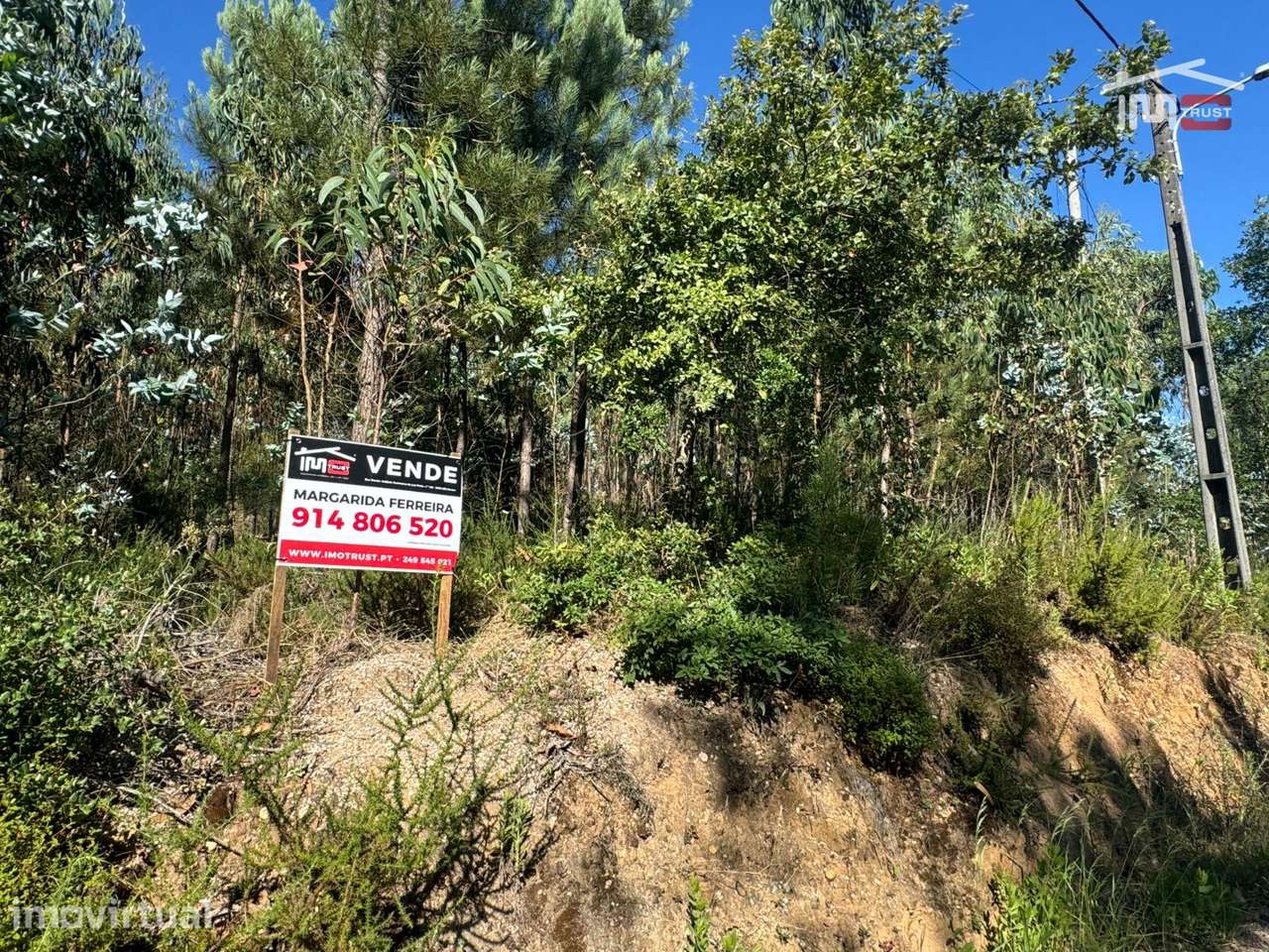 Terreno com área total de 6.800 m2 de pinhal e eucaliptos no Escand... - Grande imagem: 4/17