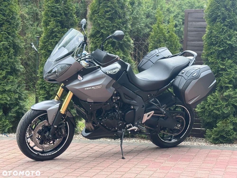 Triumph Tiger - 6