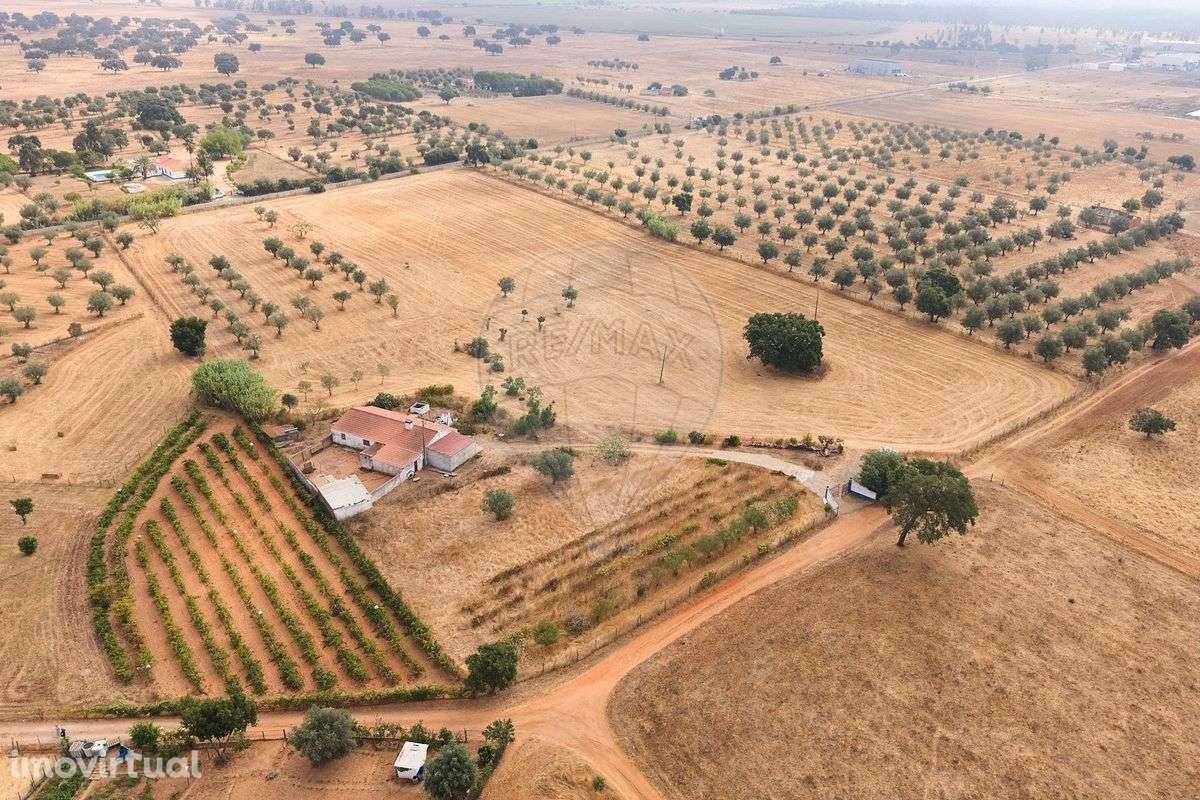 Quinta  para venda - Grande imagem: 3/50