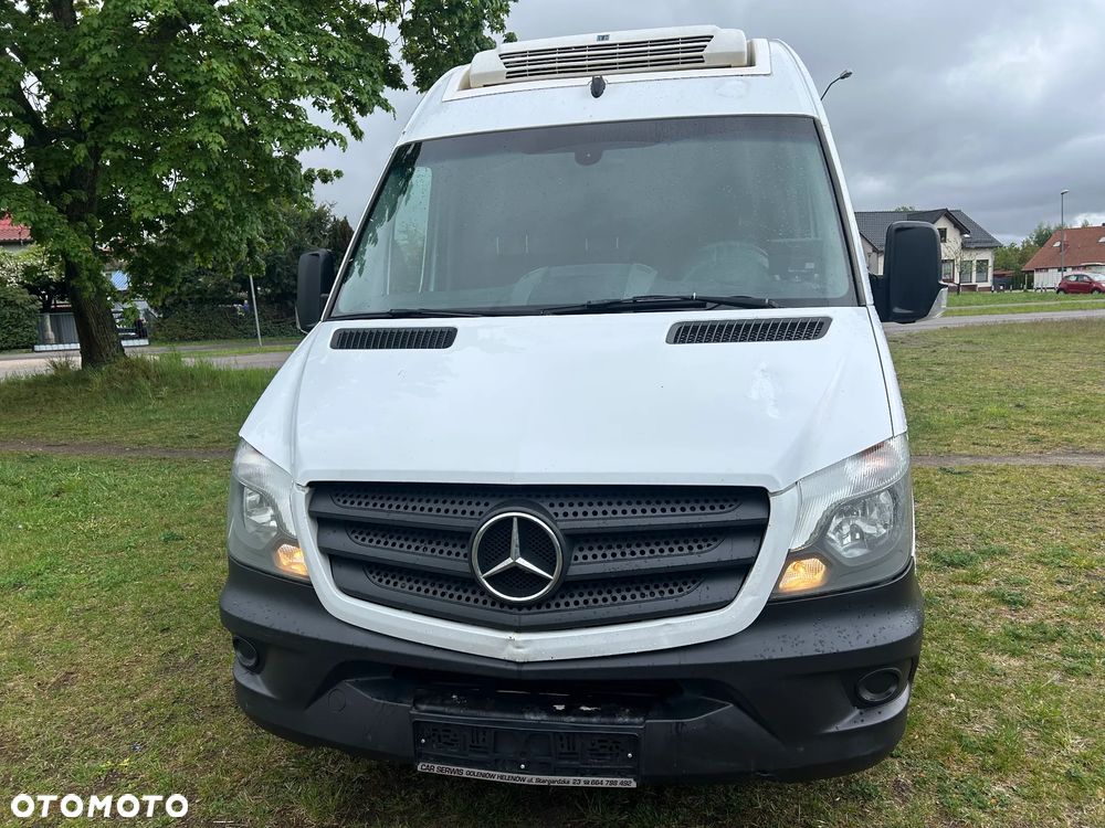 Mercedes-Benz Sprinter 316 cdi automat chłodnia mrożnia Thermoking - 12