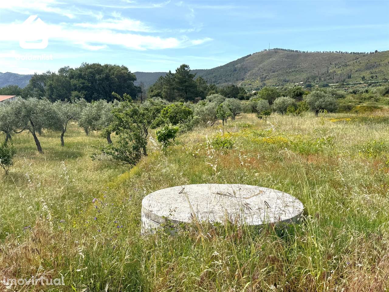 Quintinha T0 Venda em Vale de Prazeres e Mata da Rainha,Fundão - Grande imagem: 5/32