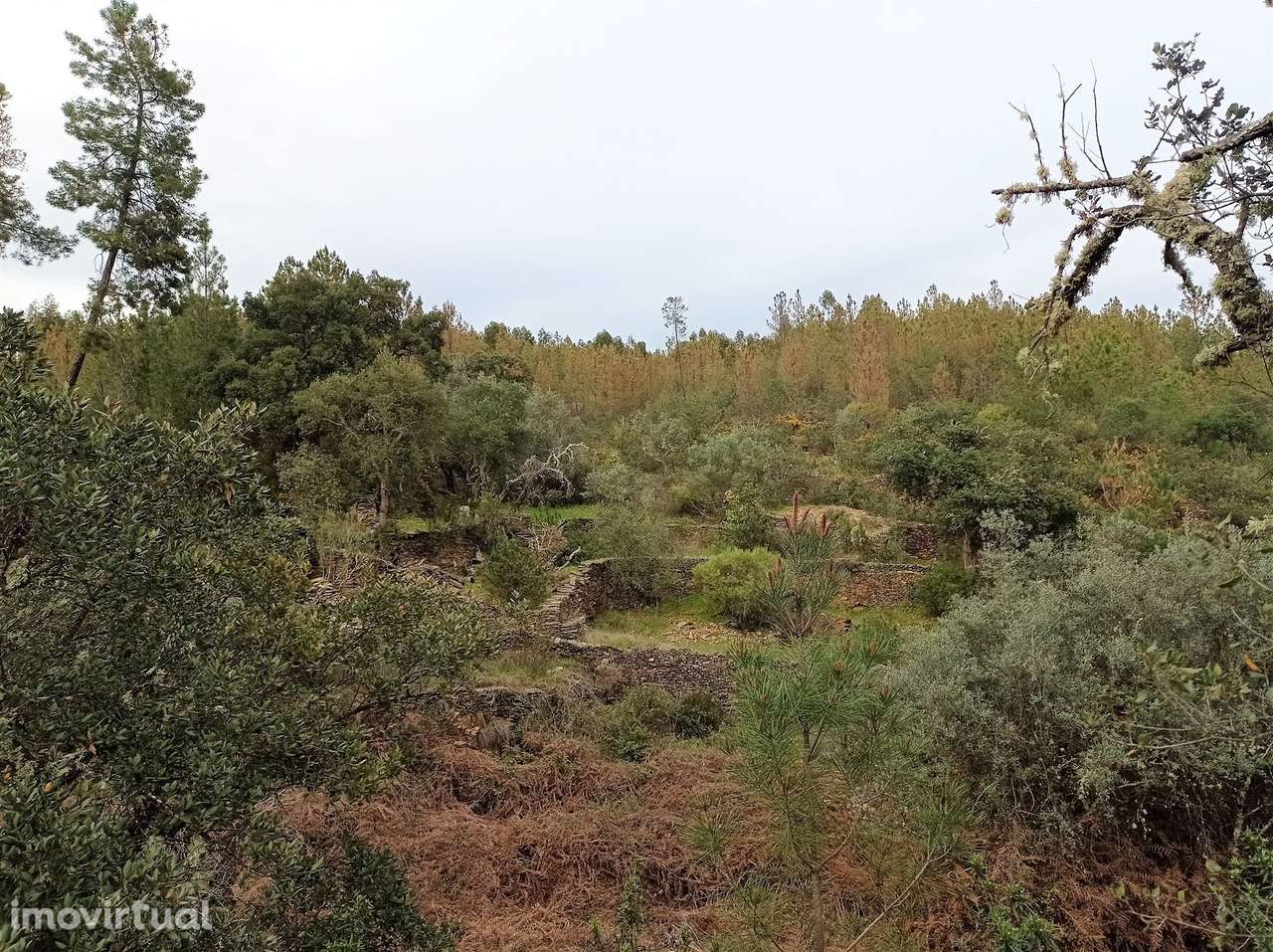 Terreno Rústico  Venda em Cebolais de Cima e Retaxo,Castelo Branco - Grande imagem: 5/13