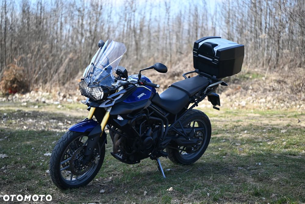 Triumph Tiger - 16