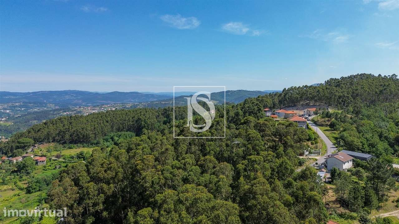 Terreno  Venda em Gouveia (São Simão),Amarante - Grande imagem: 5/20