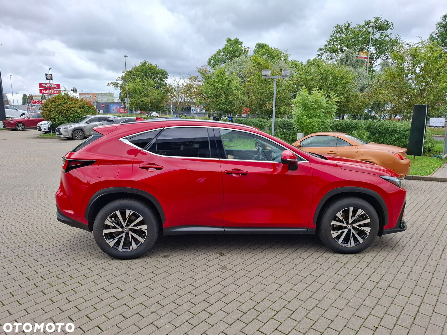 Lexus NX - 6