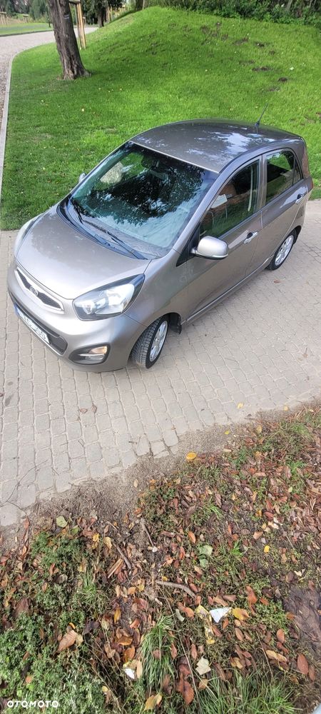 Kia Picanto 1.2 Dream Team Edition - 31