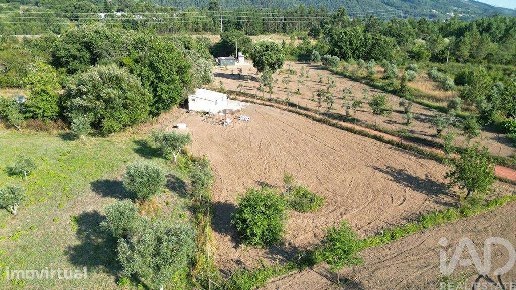 Terreno em Espinhal - Grande imagem: 3/23