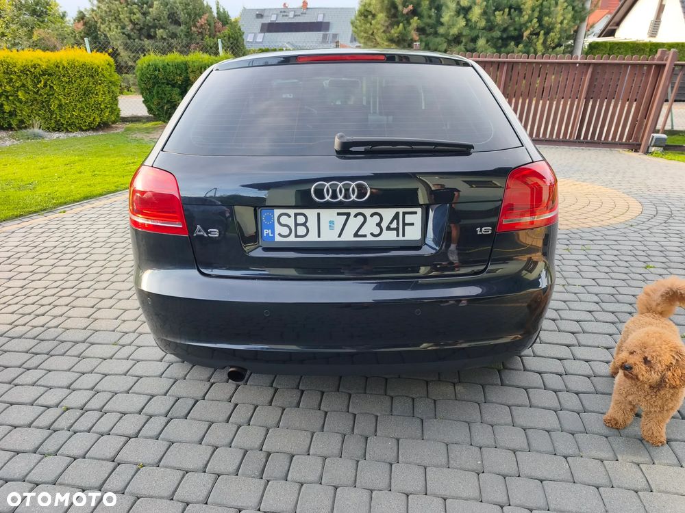 Audi A3 3-drzwiowe 1.6 Limited Edition - 10