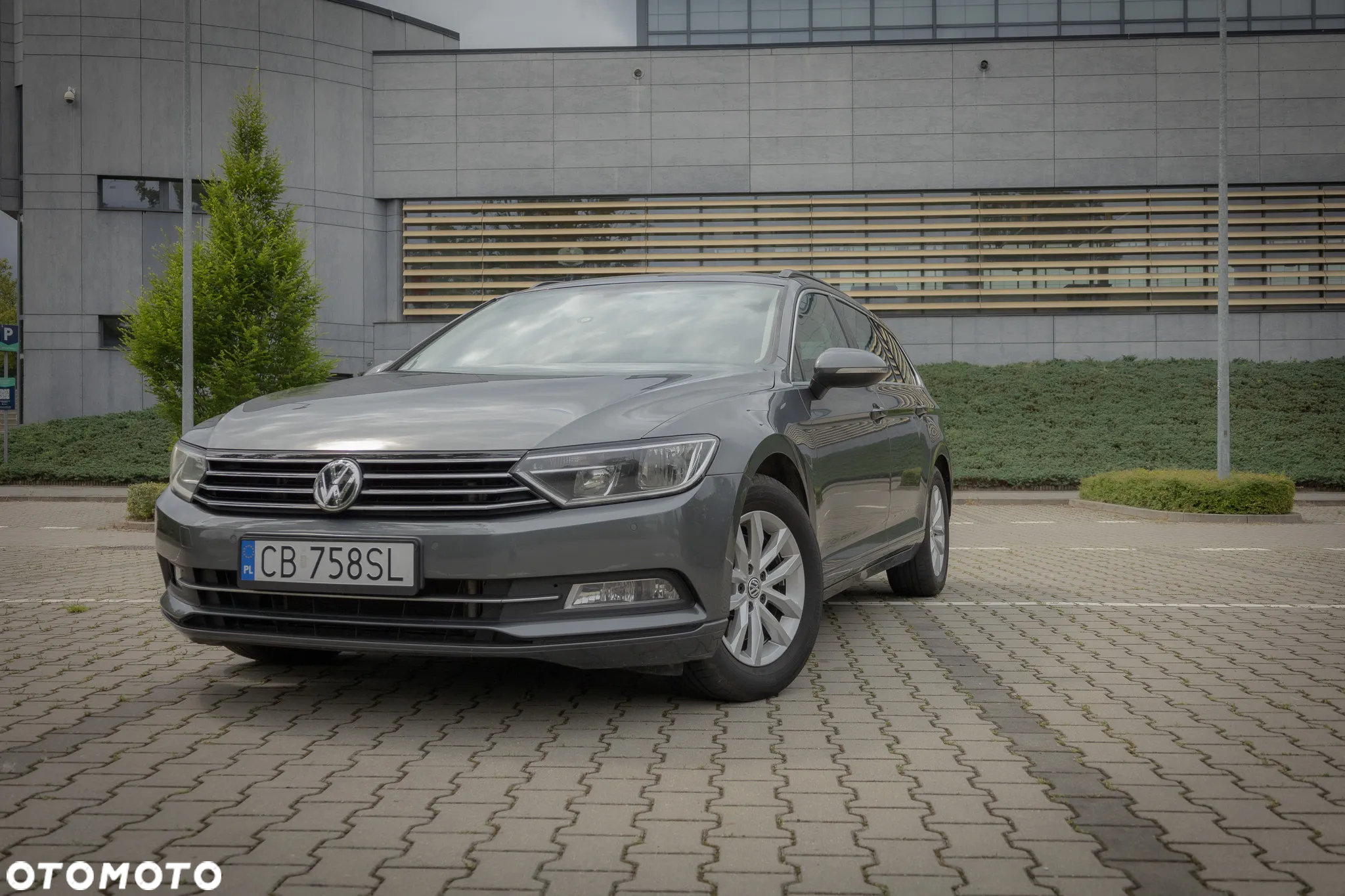Volkswagen Passat - 5