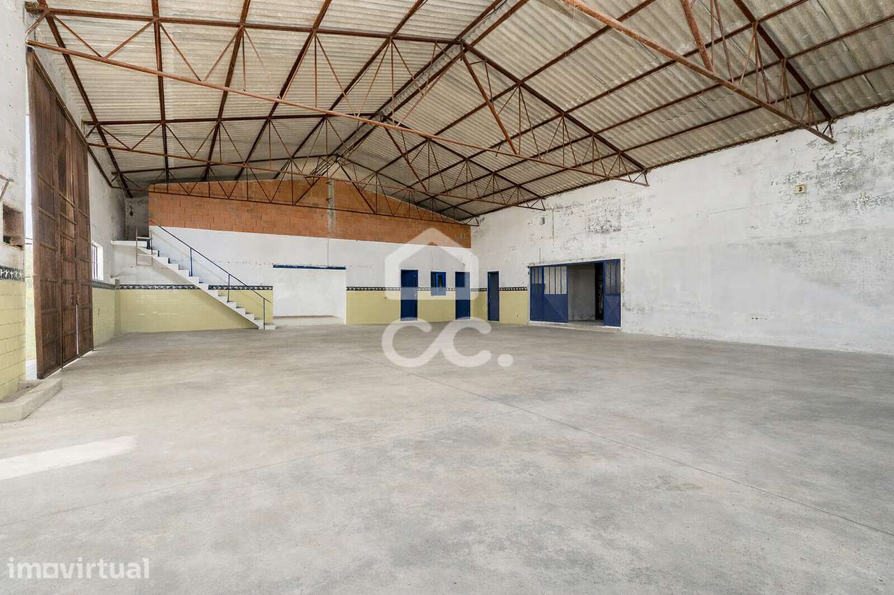 Quinta de 0,6 ha c/ Armazém e Moradia T3 para Recuperar em Arraiolos, - Grande imagem: 3/47