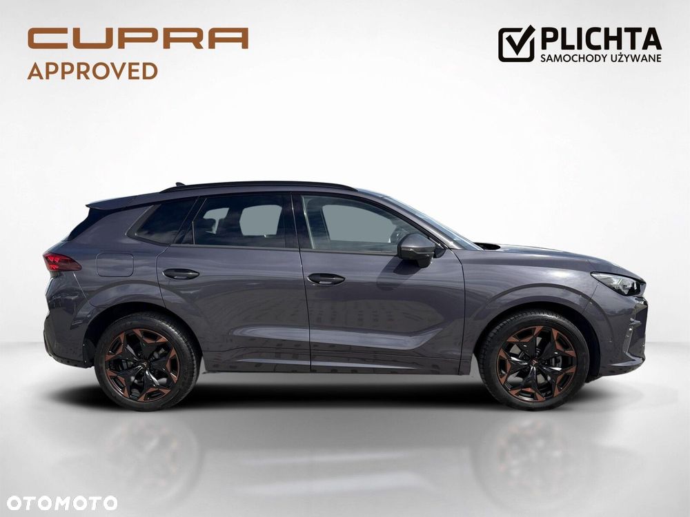 Cupra Terramar 2.0 TSI 4Drive DSG - 7