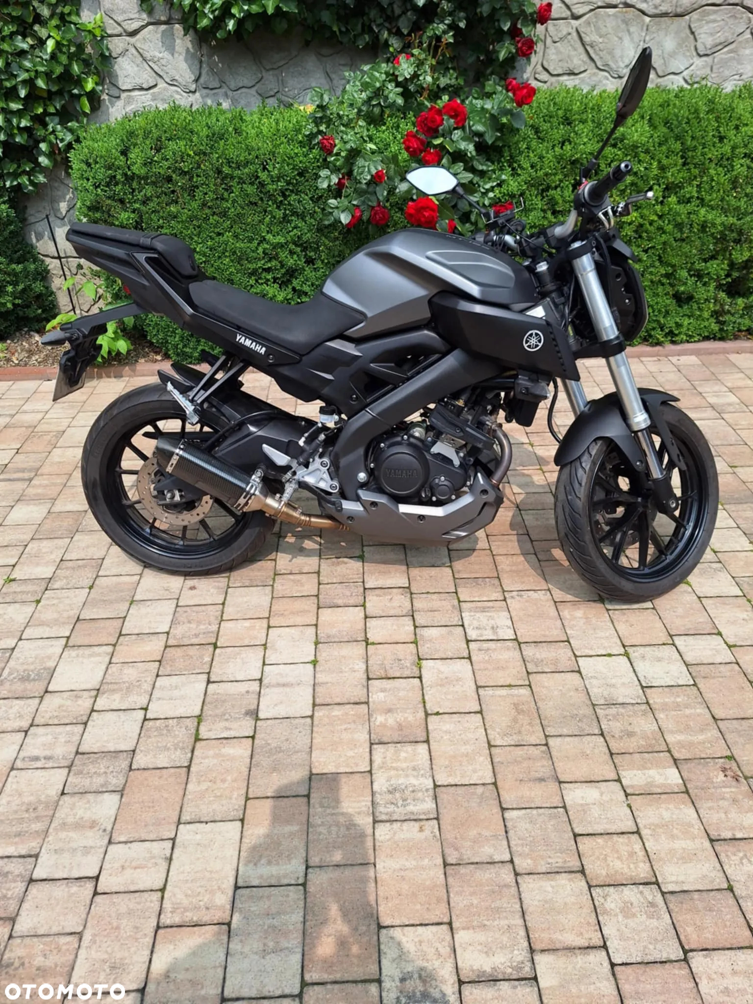 Yamaha MT - 6