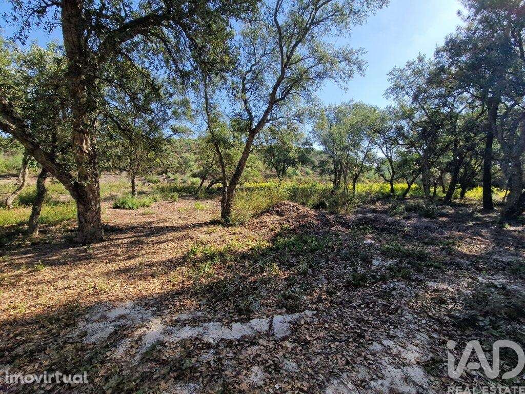 Terreno para construção em Fernão Ferro de 146179,00 m2 - Grande imagem: 5/26