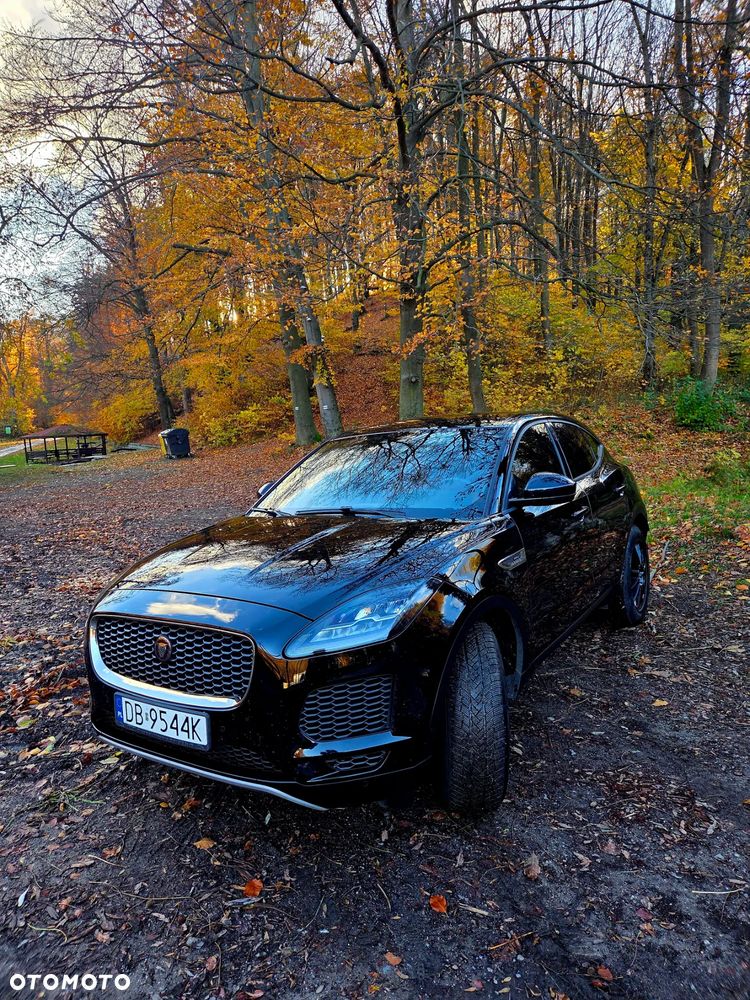 Jaguar E-Pace 2.0 i4P AWD HSE - 1