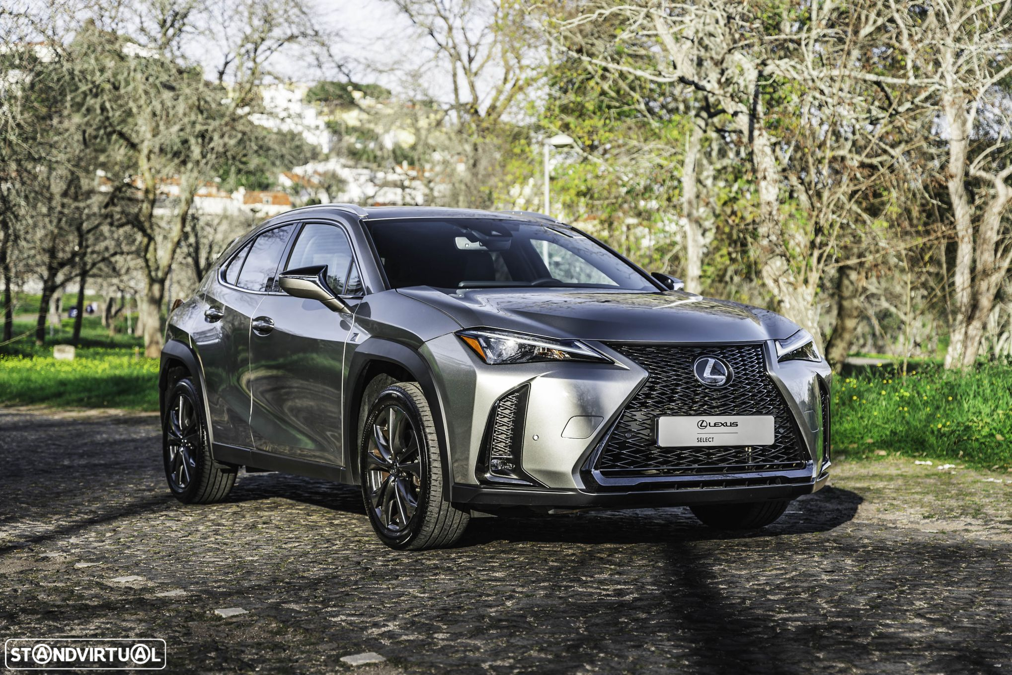 Lexus UX 250h Sport (Ecrã 12.3) - 18