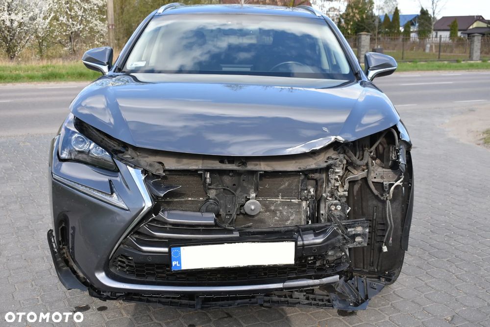 Lexus NX 300h Elite 2WD - 13