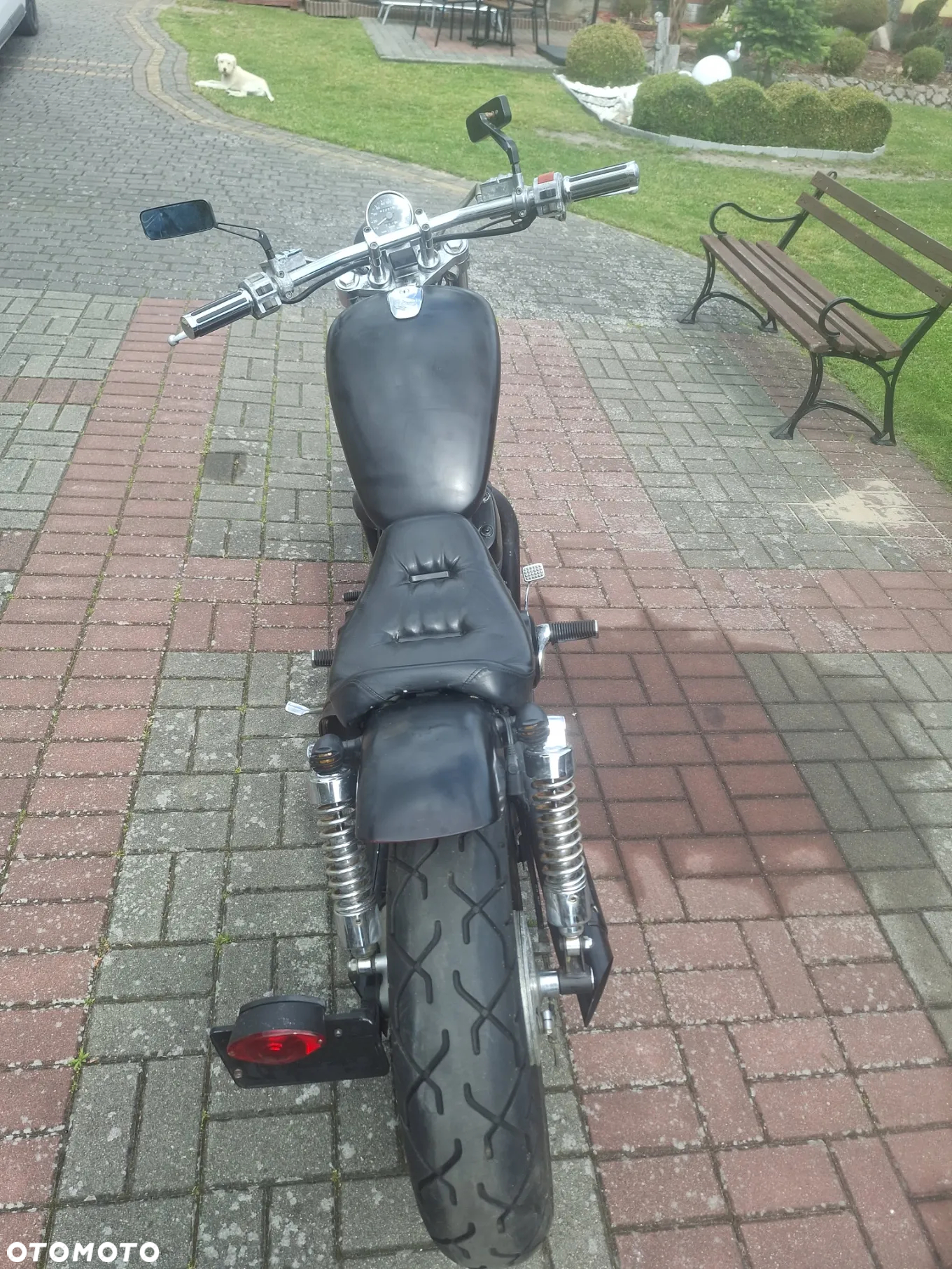 Suzuki VS - 5