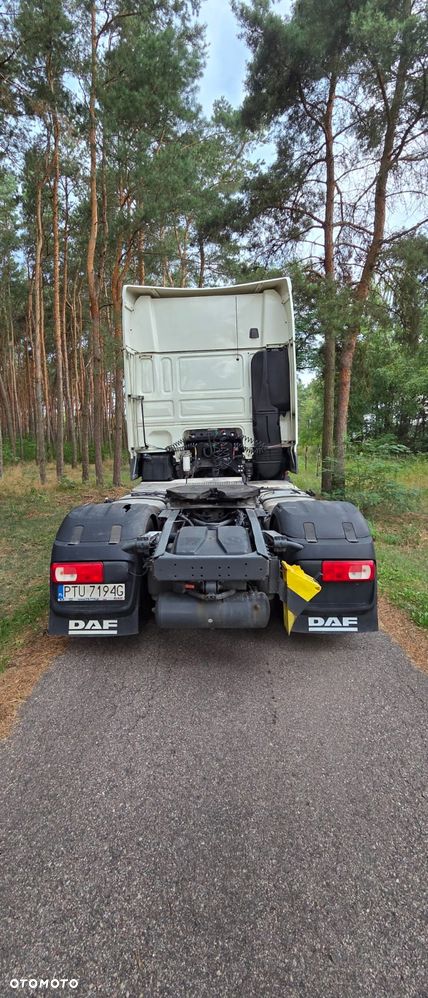 DAF - 3