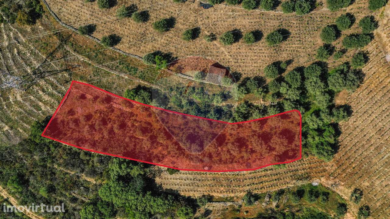 Terreno  para venda - Grande imagem: 2/25