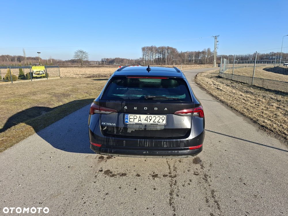 Skoda Octavia - 6