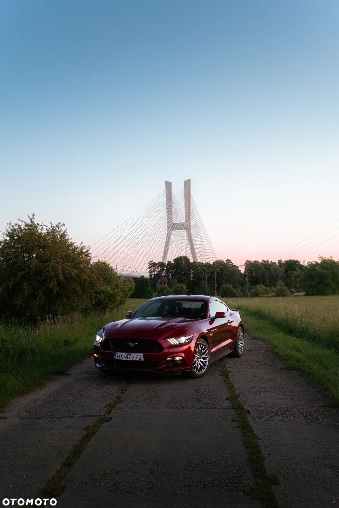 Ford Mustang 5.0 V8 GT - 22