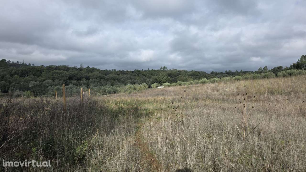 Terreno 18.800 m2, pequeno lago, com potencial para pomar ou agricultu - Grande imagem: 2/25