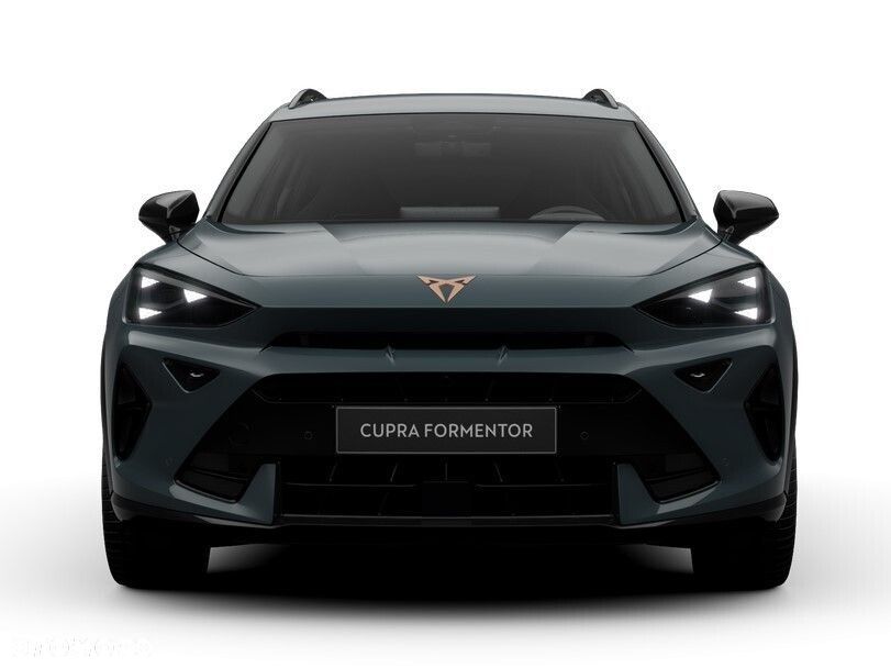 Cupra Formentor 2.0 TSI 4Drive DSG - 6