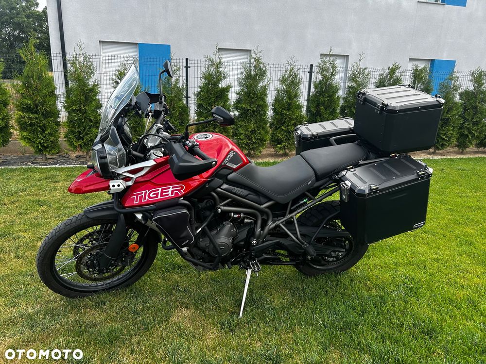 Triumph Tiger - 7