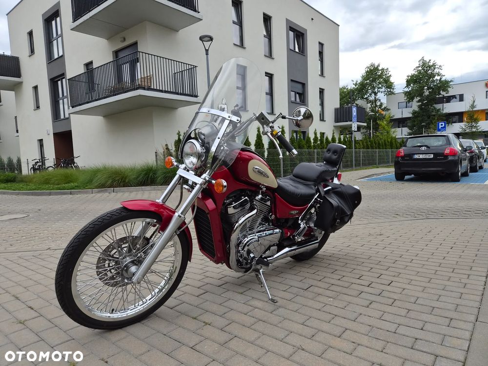 Suzuki Intruder - 3