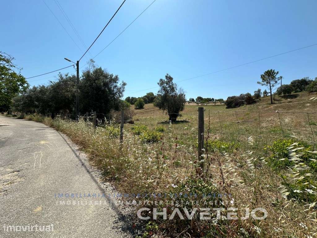 Terreno com 11.160m2 situado em Porto Mendo. - Grande imagem: 4/7