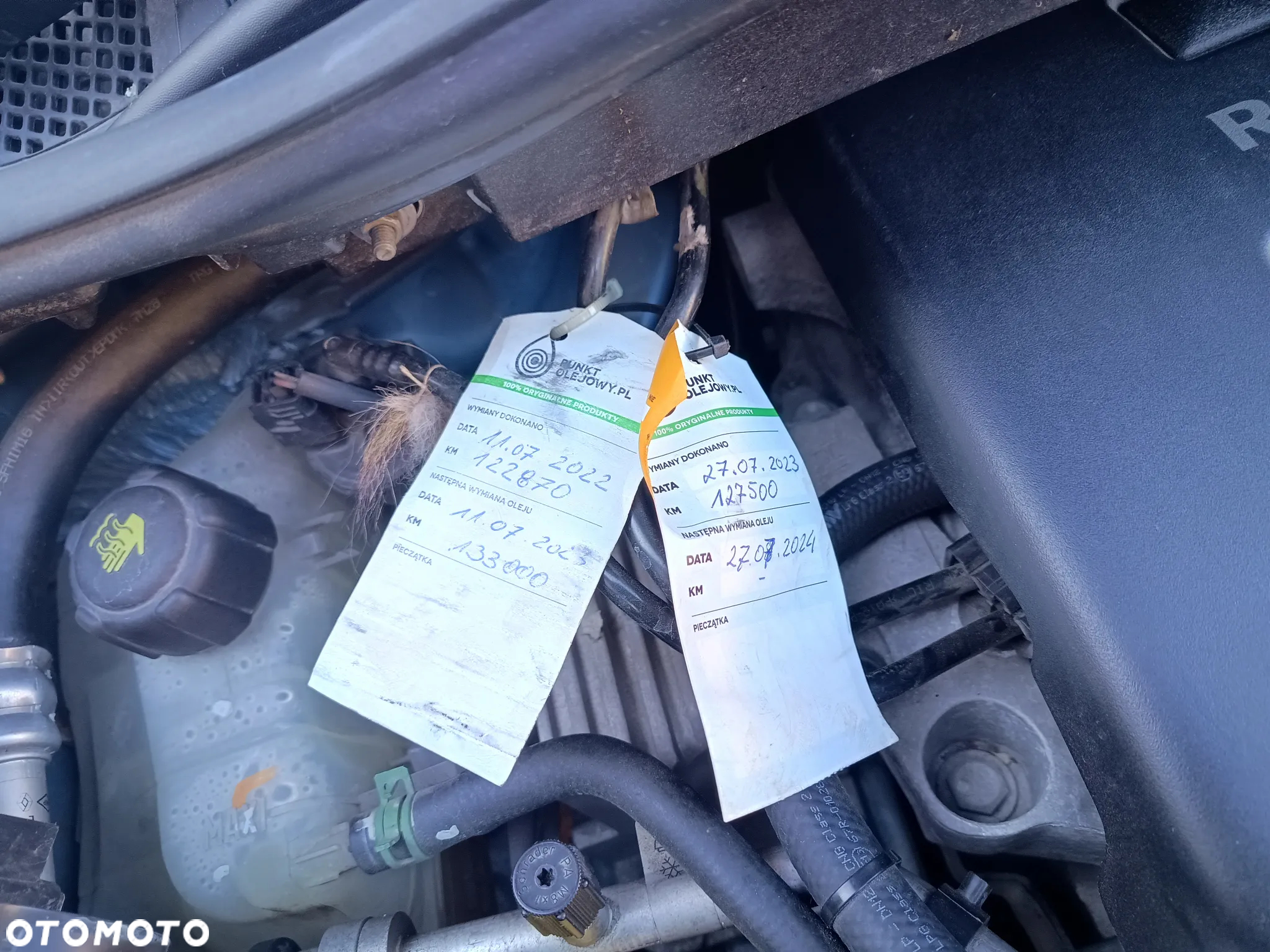 Renault Scenic - 19