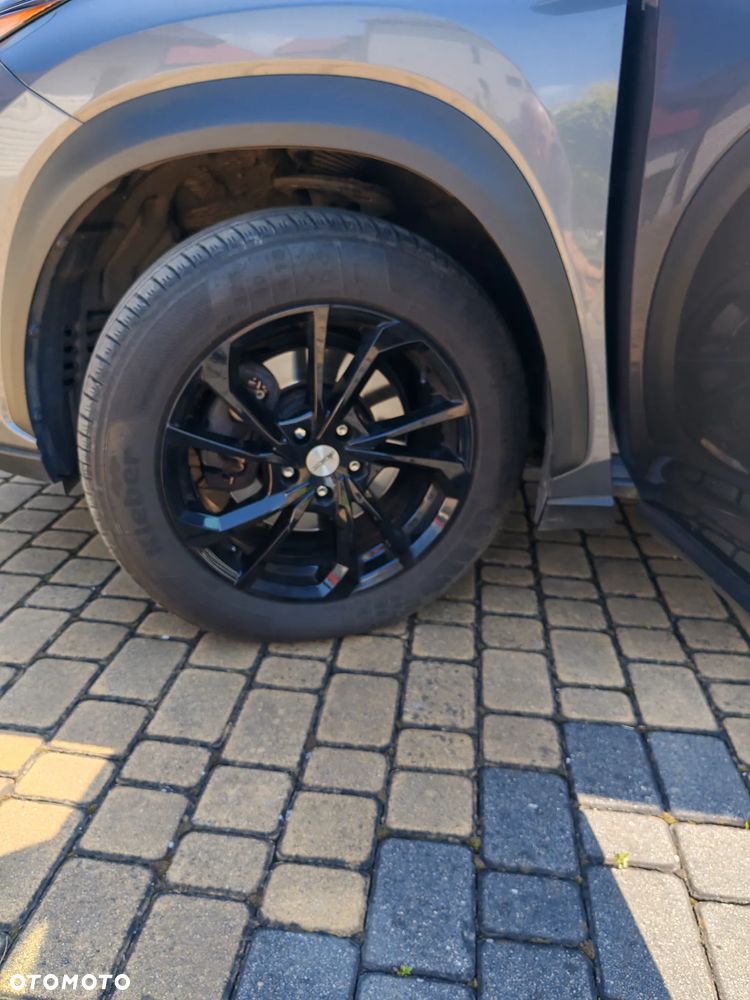 Lexus NX 300h Business Edition AWD - 18