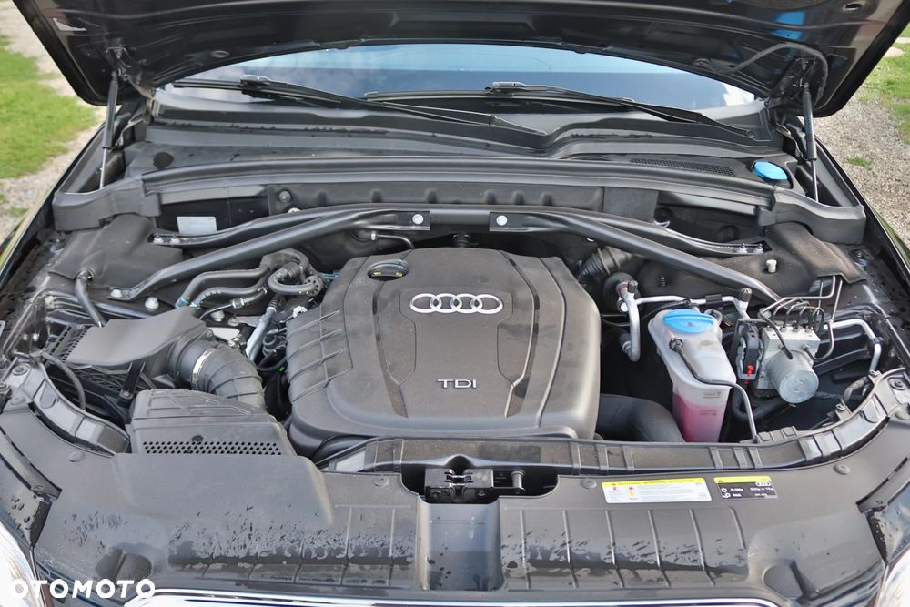 Audi Q5 - 18
