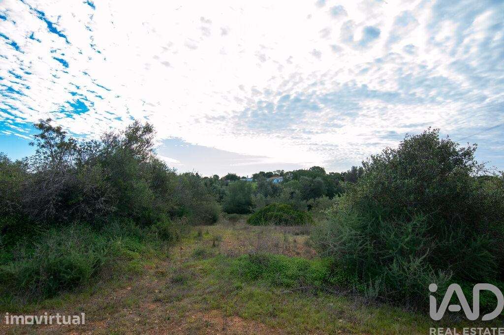 Terreno para construção em Almancil de 300,00 m2 - Grande imagem: 5/5