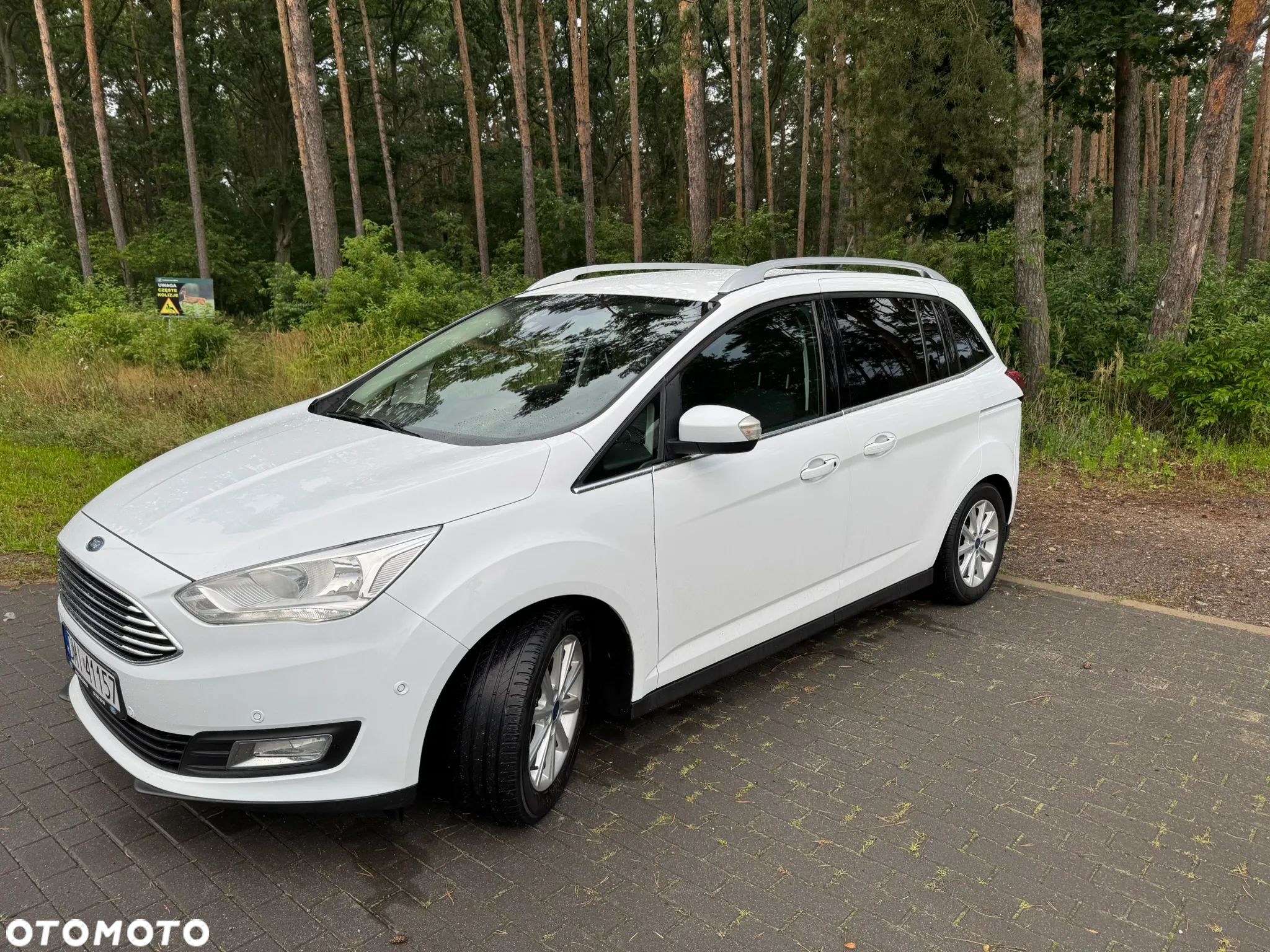 Ford Grand C-MAX - 1