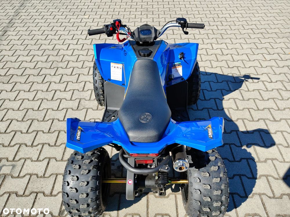 Linhai ATV - 11