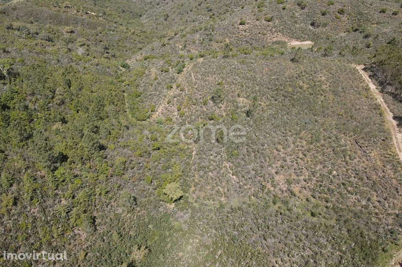 Terreno Rústico com 160.510m2 e Barragem em Vermelhos, Ameixial - Grande imagem: 2/21