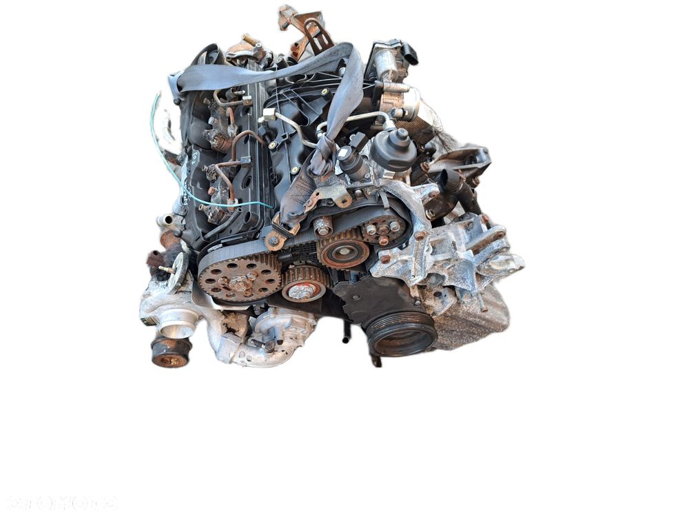 SILNIK 2.0 D 180KM CNE Volkswagen Amarok 2012 Wszystkie części