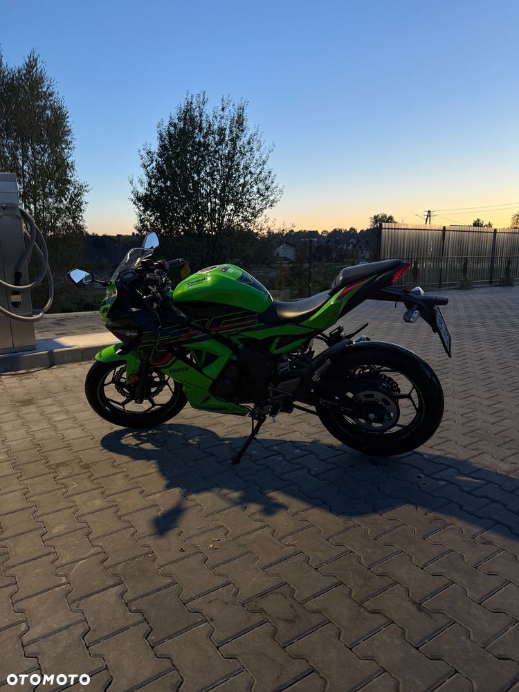 Kawasaki Ninja - 4