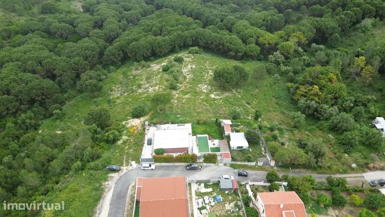 Terreno Rústico com 7.920 m² em Vilalonga – Excelente Oportunidade de - Grande imagem: 4/5